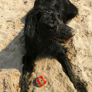 Meet your Posher, Gina